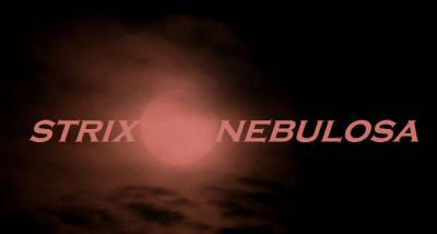 logo Strix Nebulosa (USA-1)